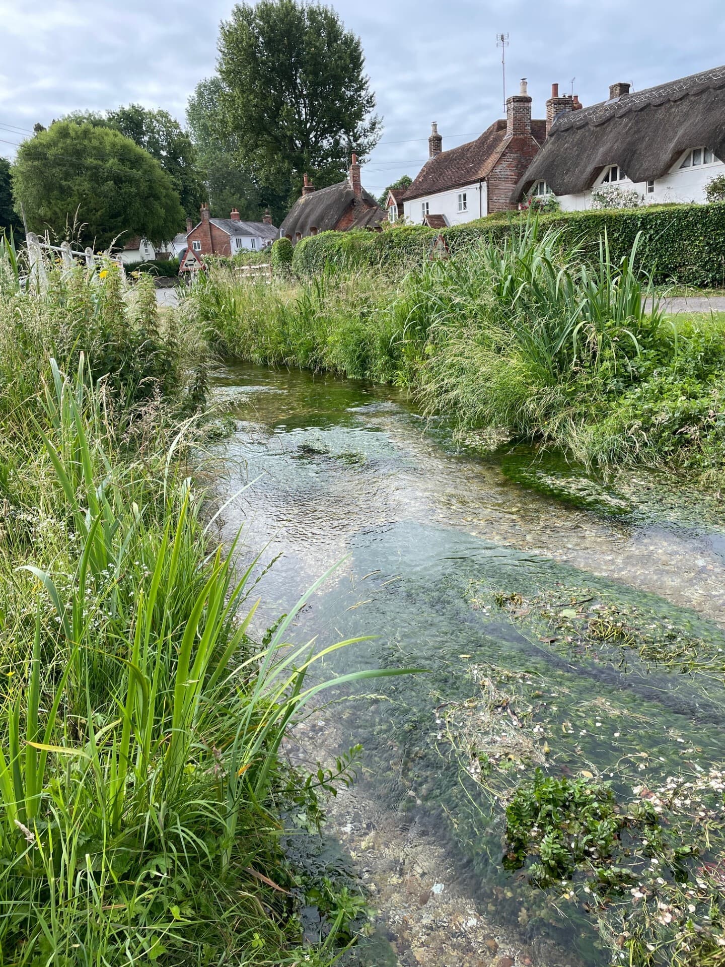 A serene river flows through a rural area, bordered by lush green plants and trees. In the background, charming houses can be seen against a bright blue sky dotted with fluffy clouds, creating a picturesque summer landscape.