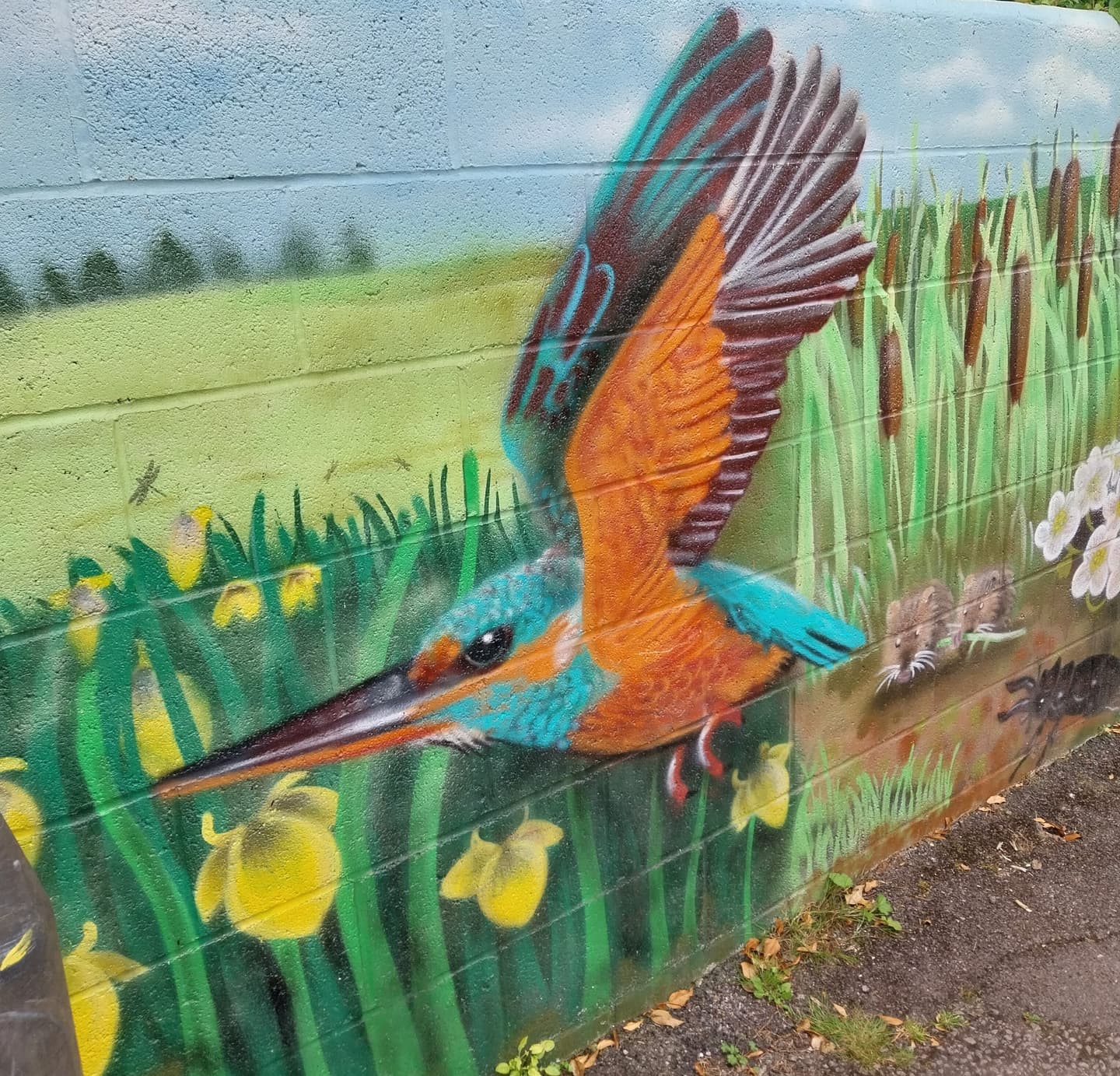 A vibrant, colourful bird perched on a branch, surrounded by hints of greenery and grass in a painted or drawn artistic style.