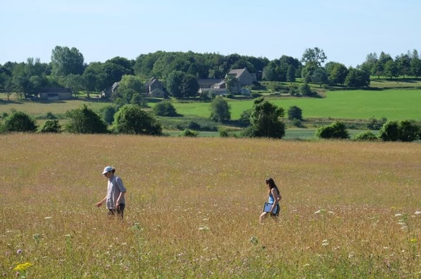 Two people walking through a golden wildflower meadow, surrounded by rolling green countryside with traditional farm buildings in the distance. The tall grasses suggest a late summer setting, as the pair explore the landscape under a clear sky.