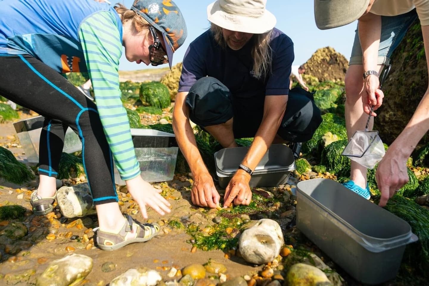 A group of people exploring rock pools along a rugged coastal area at Samphire Hoe, equipped with nets and buckets, engaging in hands-on marine life discovery
