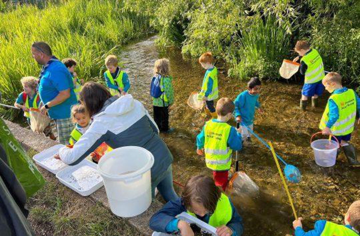 A group of children in bright yellow safety vests and blue shirts stand in a shallow stream, holding nets and buckets as part of an outdoor educational activity. Two adults assist them—one with a net on the left and another with a white bucket on the right. The area is surrounded by lush green vegetation.