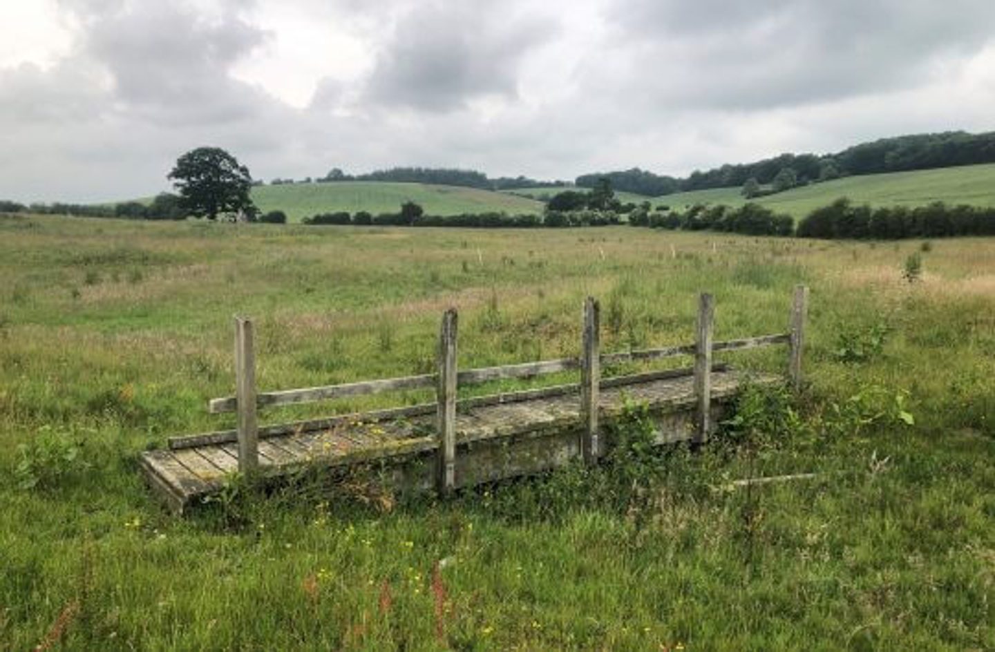 A small, weathered wooden bridge with railings sits in the middle of a grassy field dotted with wildflowers. Rolling green hills stretch into the background under an overcast sky with thick clouds, creating a muted, tranquil atmosphere.