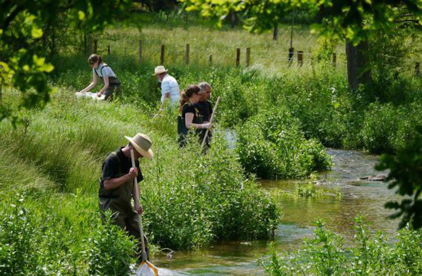 Five people stand in and around a shallow stream surrounded by lush green vegetation. They appear to be conducting an environmental or scientific activity, with one person using a net in the water and others handling various tools. Trees and a wooden fence are visible in the grassy background.