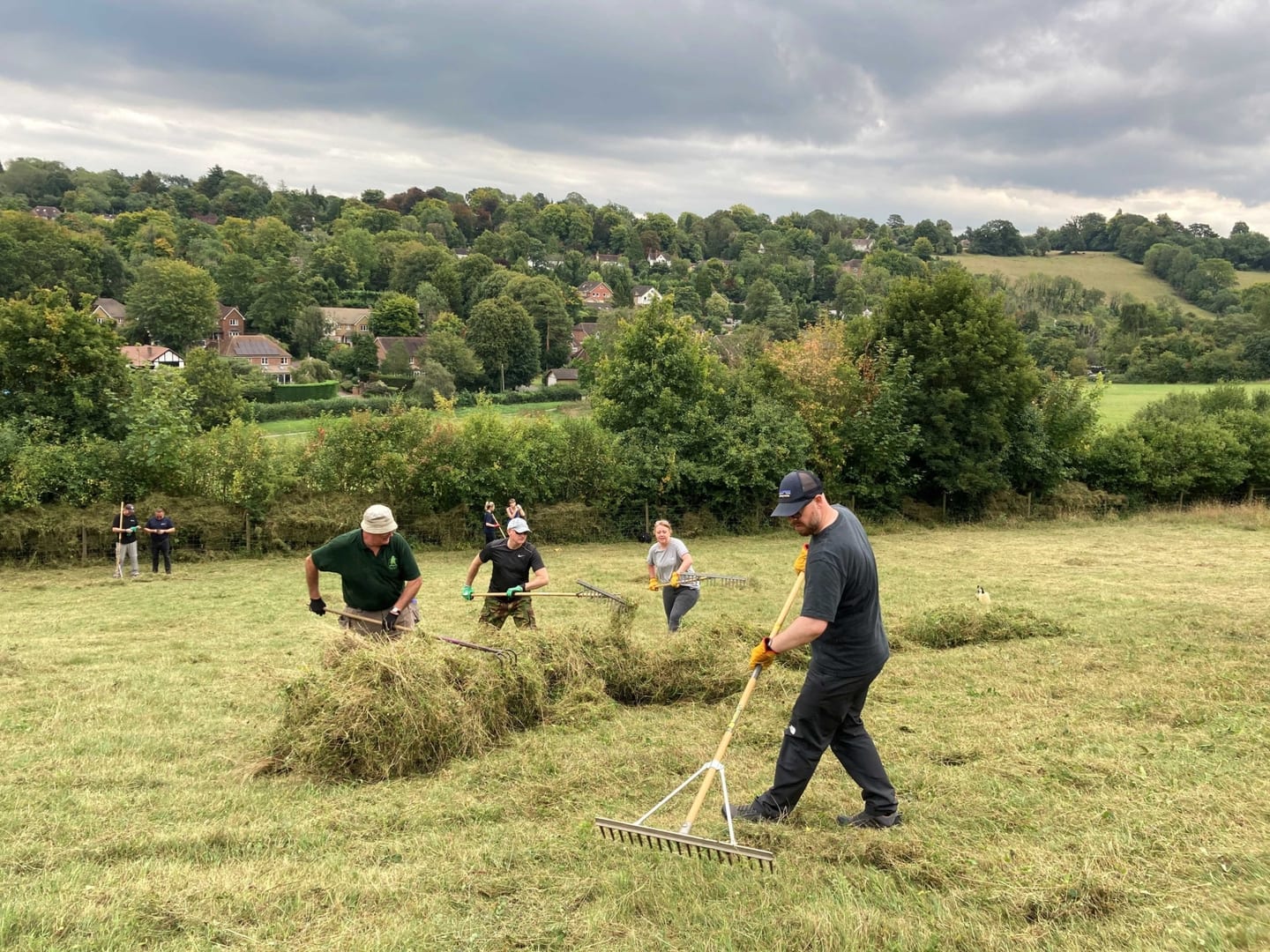 A group of Downlands Partnership volunteers raking grass on a sunny day at Chipstead Downs, surrounded by rolling chalk grassland and scattered trees.